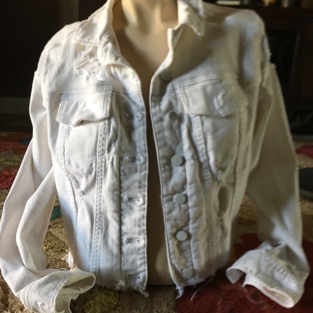 Express Jean Jacket - image 1